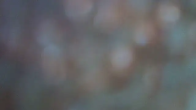 sweetronette webcam