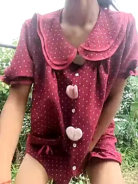 Hoa-tuylip webcam