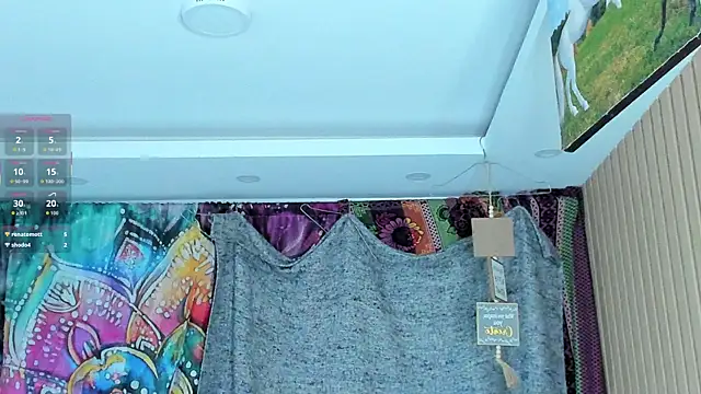 orionblaze69_ webcam