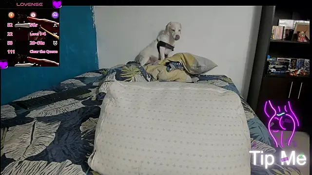 peanut_tangerine webcam