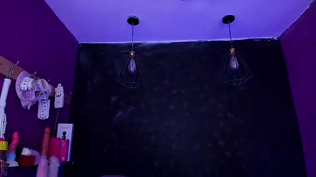 Alexa_Slave webcam
