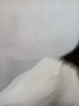 xiaogoal - Xiaogoal's free webcam - UK Sex Cams