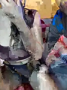 esteebanaannon webcam