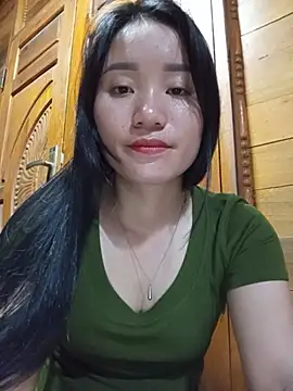 Td3di webcam
