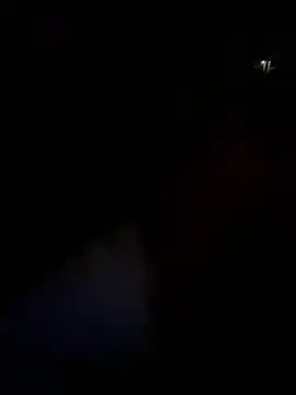 urpuppymoon