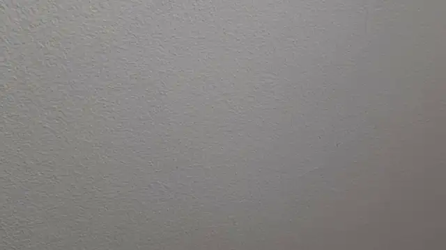 Sofiaa_Bloom webcam