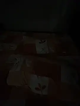 funcracker webcam