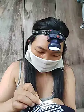 Hiha-nn webcam