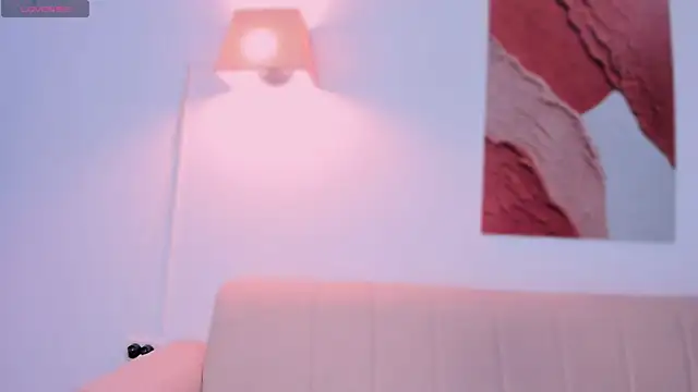 nyx_velvet webcam