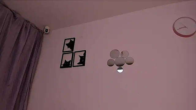 Alexaa250 webcam