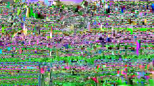 B0rn2Porn live sex cam