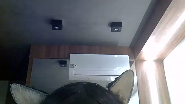 SkinnyKitten live cam on StripChat