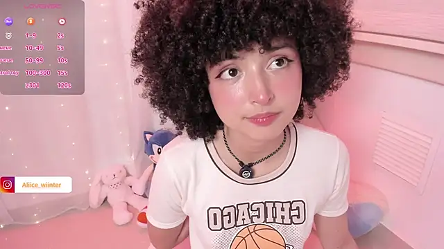 Alice_winter_ webcam