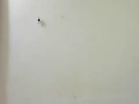 Baby-Joy254 webcam