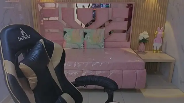Alexa_s1 webcam