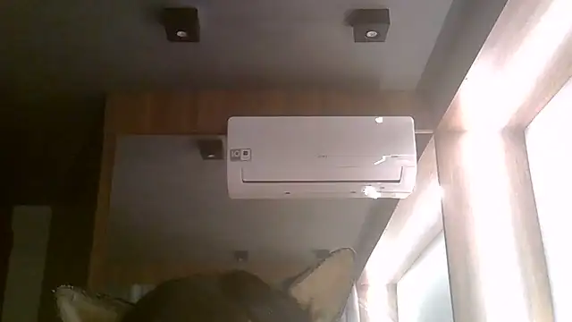 skinnykitten - SkinnyKitten's free webcam - UK Sex Cams