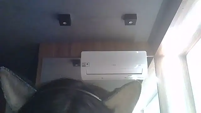 SkinnyKitten live cam on StripChat