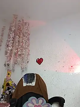 Kuutar webcam