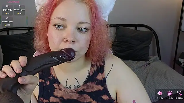 Vlada_vv