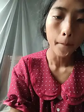 Hoa-tuylip