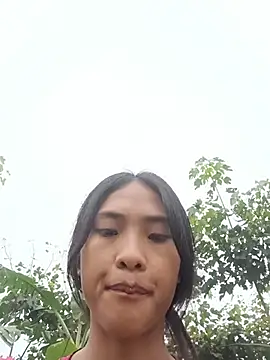 Hoa-tuylip