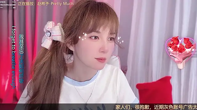 hi-AnAn webcam