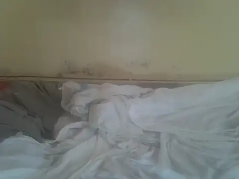 cute-shamza webcam