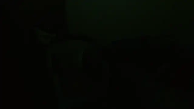 Agatha_browser webcam