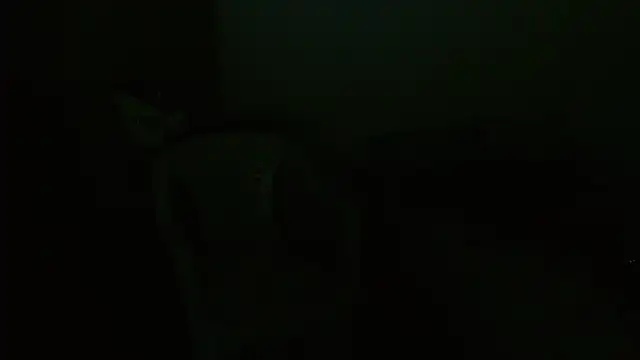 Agatha_browser live cam on StripChat