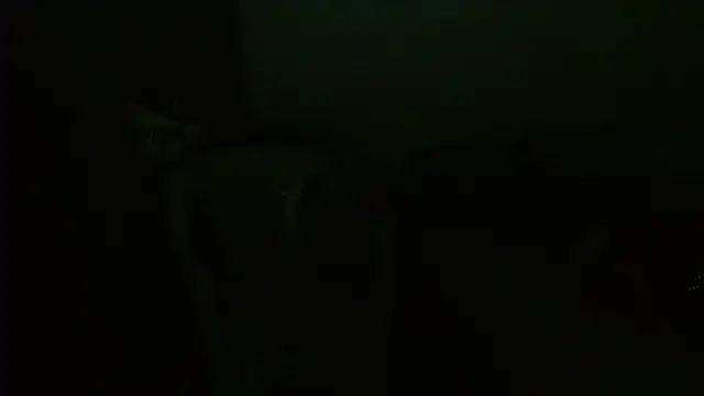 Agatha_browser webcam