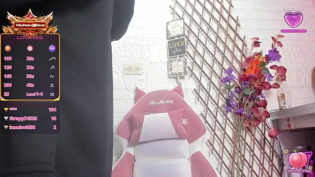 SALOME_KORLAND webcam