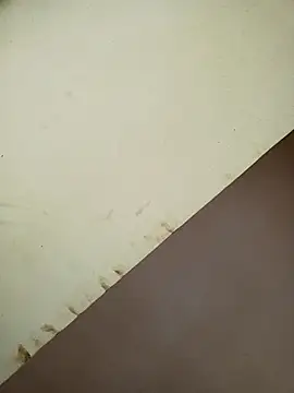 daddys_pen webcam
