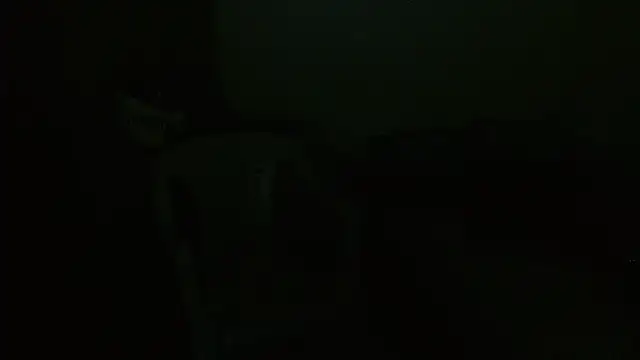 Agatha_browser webcam
