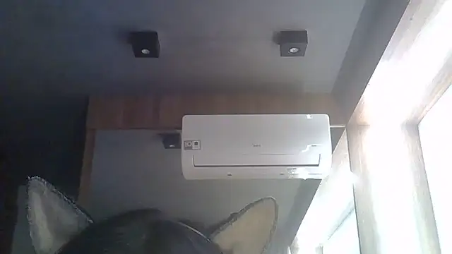 SkinnyKitten live cam