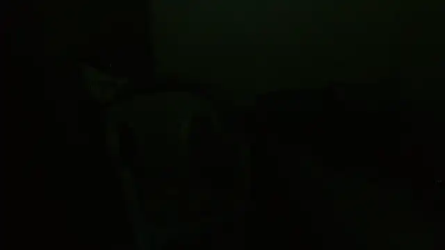 Agatha_browser webcam