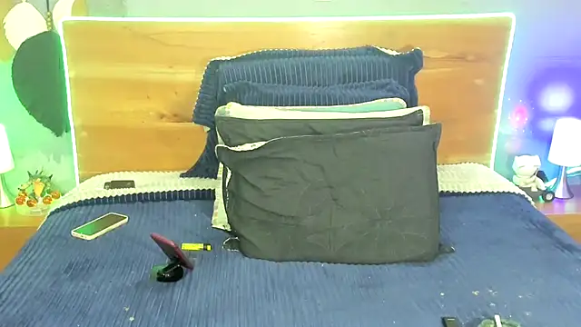 Prometeo-grizzly webcam