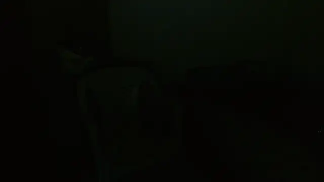 Agatha_browser webcam