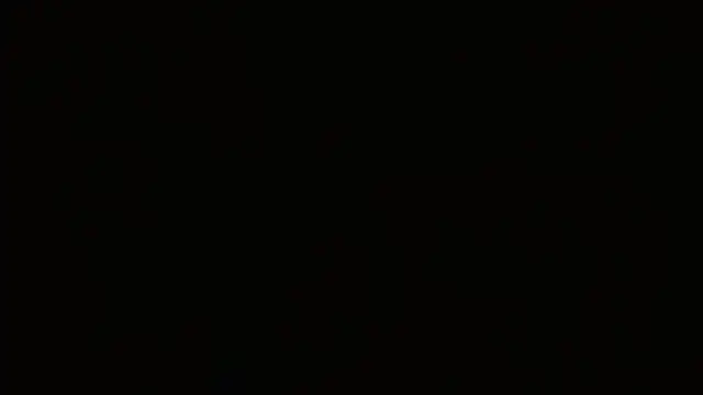 Agatha_browser webcam