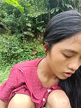 hoa-tuylip
