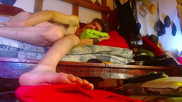 laye19 webcam