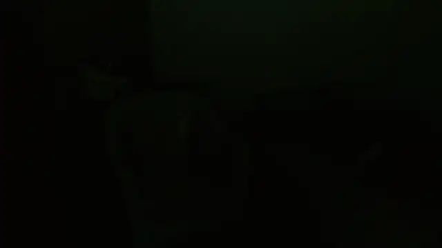 Agatha_browser webcam