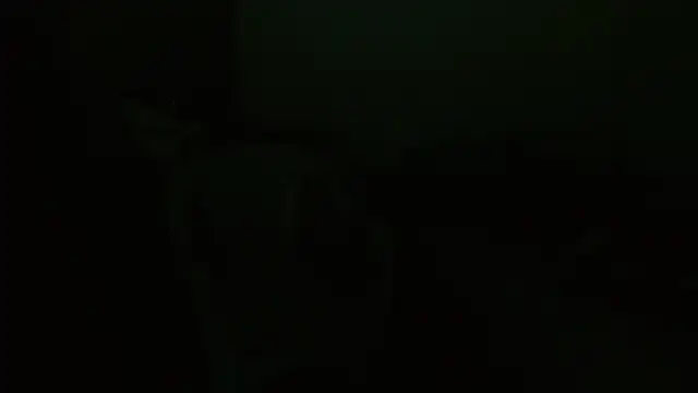 Agatha_browser webcam