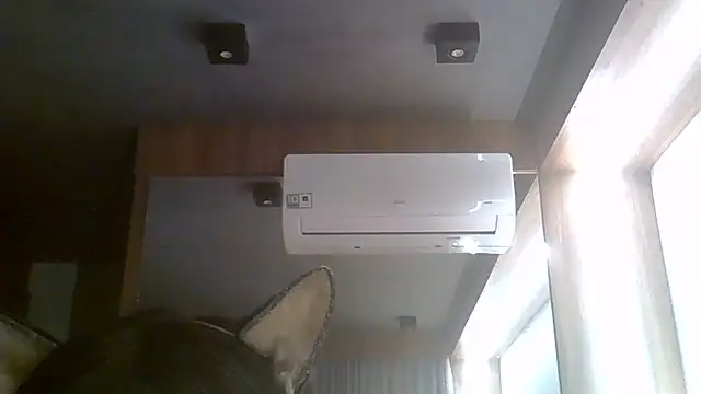 SkinnyKitten webcam
