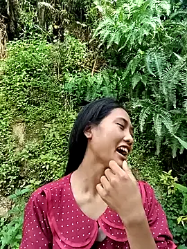 Hoa-tuylip live cam on StripChat
