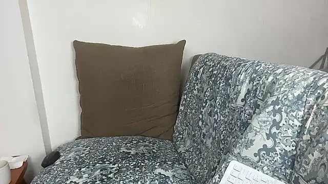 velvetvista webcam