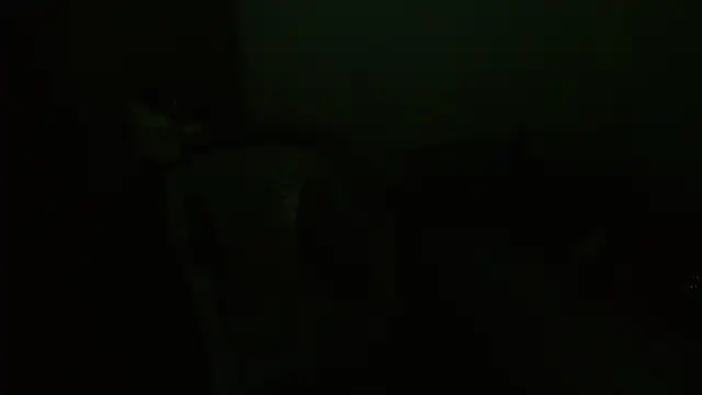 Agatha_browser webcam