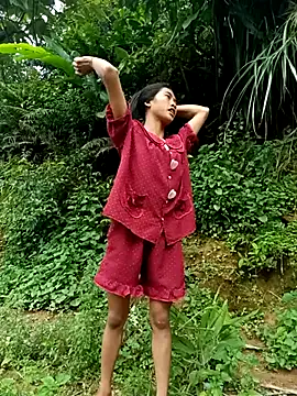 Hoa-tuylip live webcam