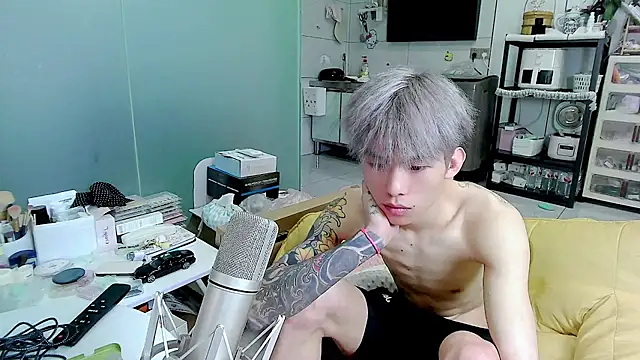 Kpl-11's cam show statistics and live stream