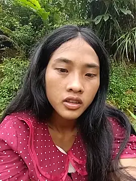 Hoa-tuylip webcam