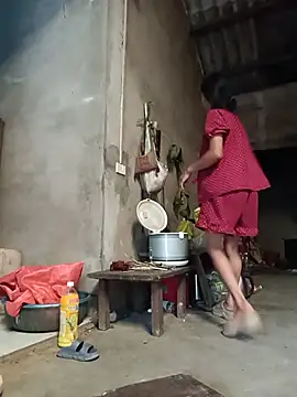 Hoa-tuylip live cam